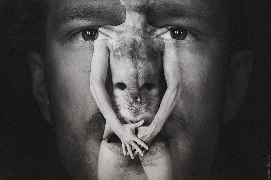 , Станислав Новиков