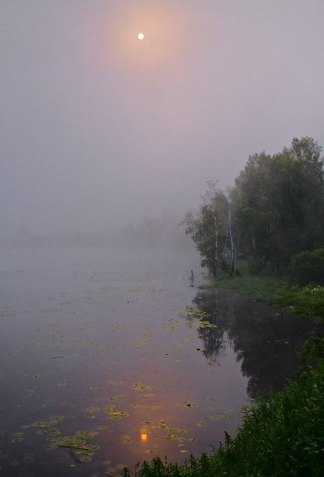 , Николай Морский