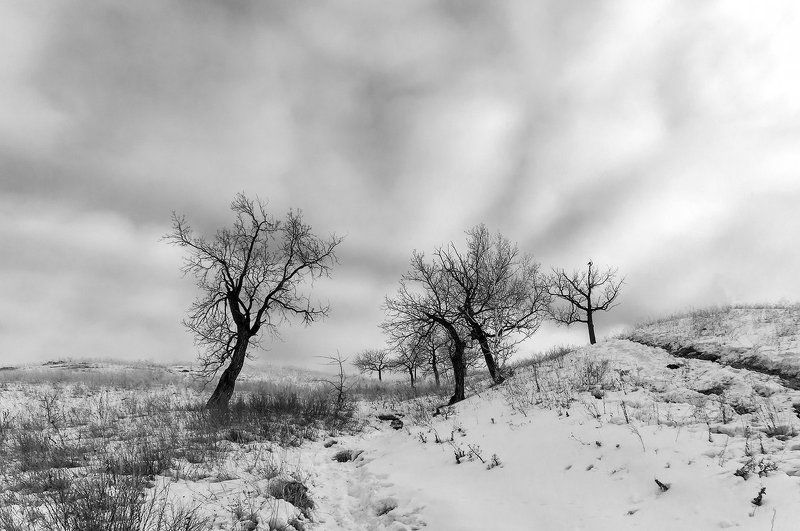 Шумел камыш.... фото превью