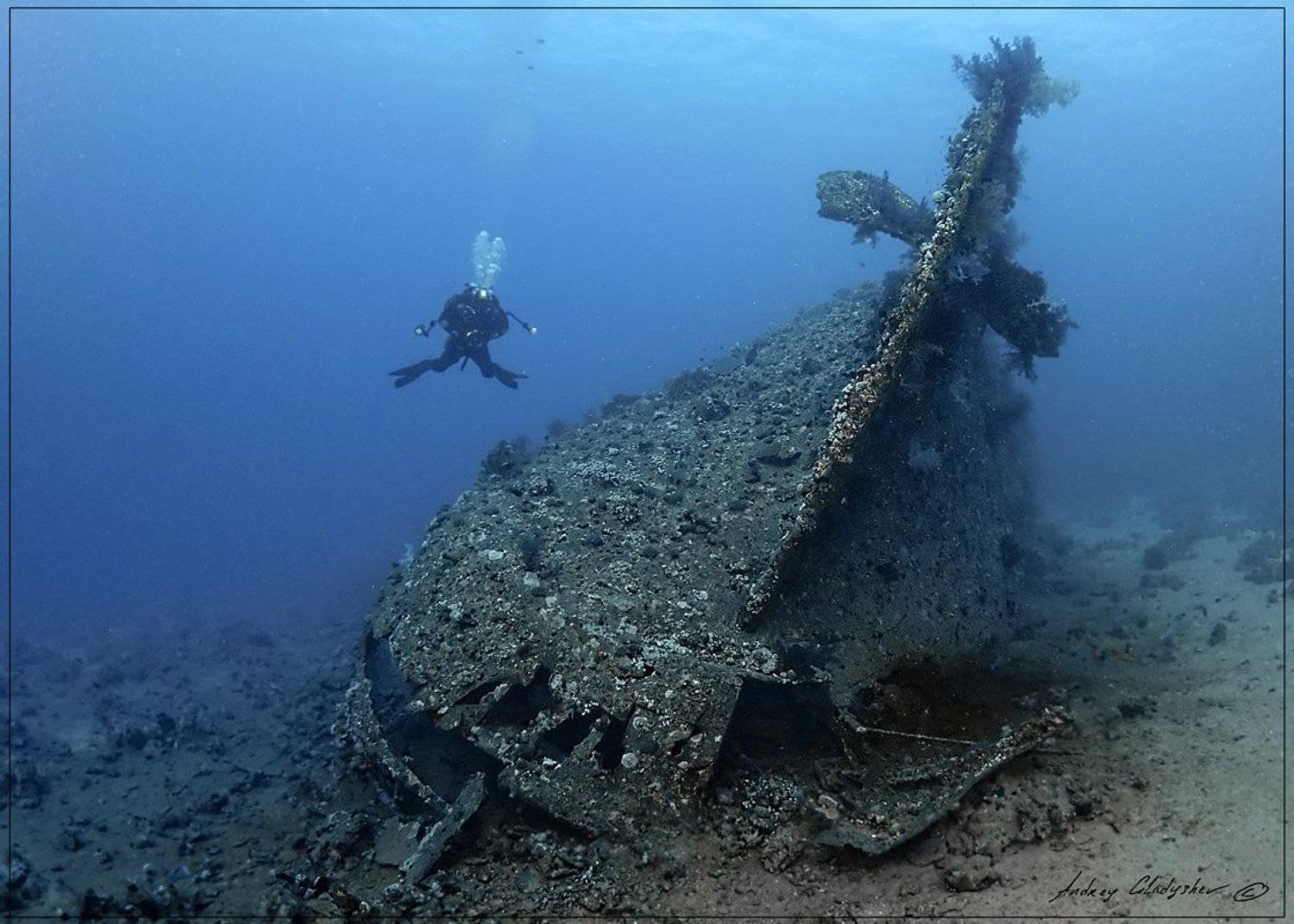 , Андрей Гладышев