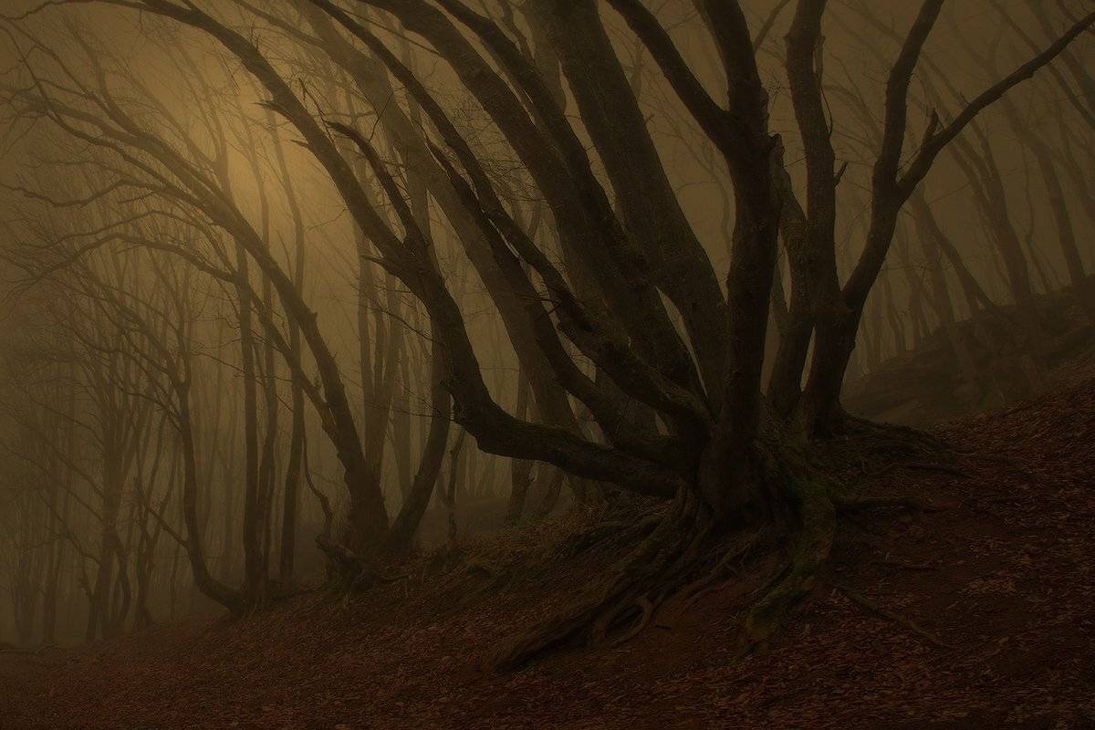 , Михаил  Пилипенко