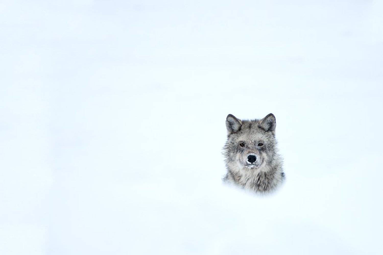 , Иван Кислов