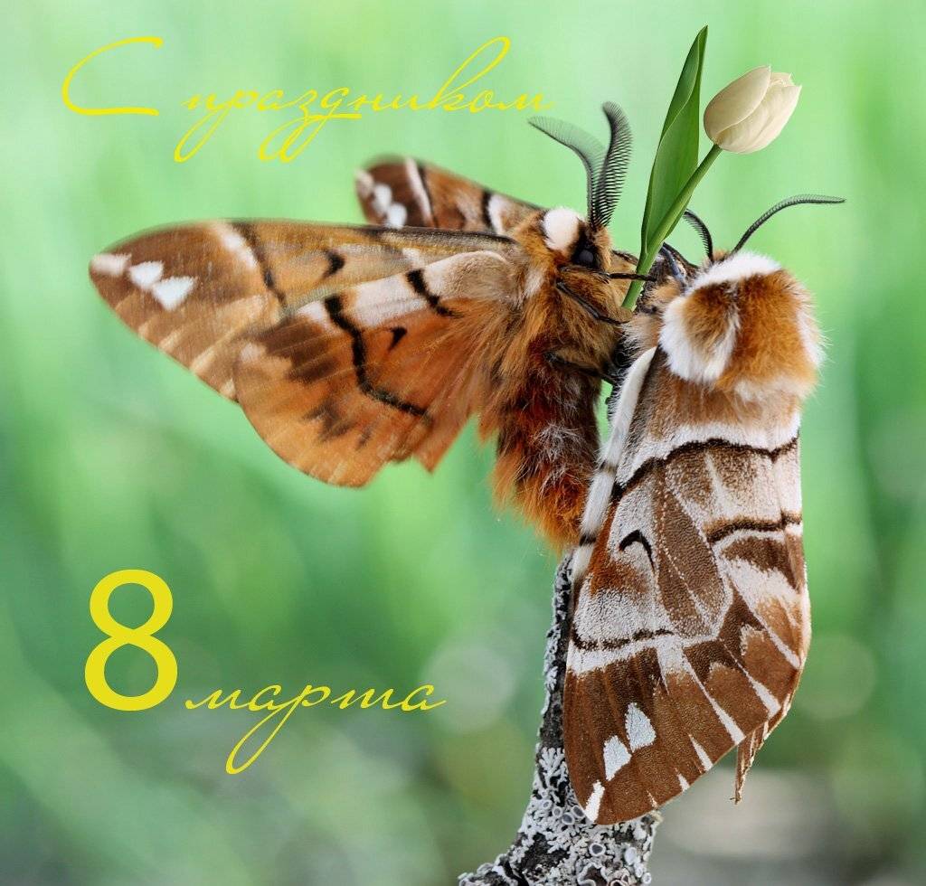 , Сергей Таланов