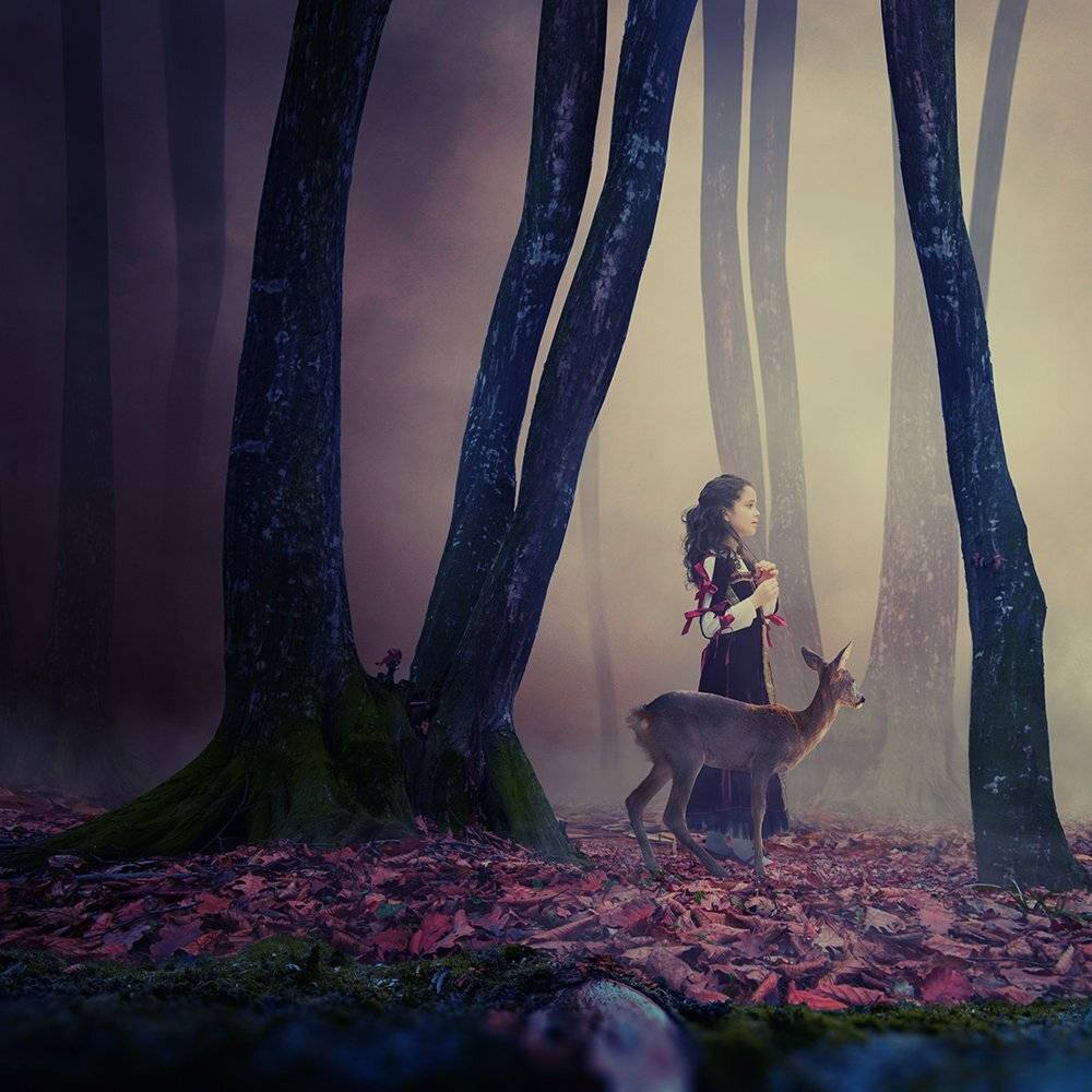 mist, red, forest, girl, light, tree, dog, running, purple, mystery, manipulation, cliff, photoshop, violet, deer, iris, fantasy, balance, joy, psd, ioana, , tutorials, Caras Ionut