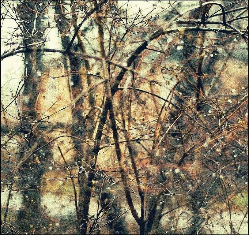 , Глазунов Николай