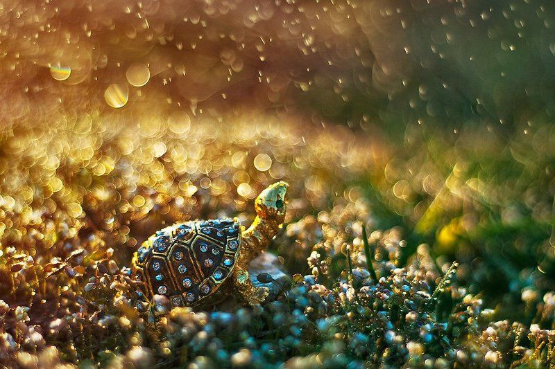 Explore the world фото превью