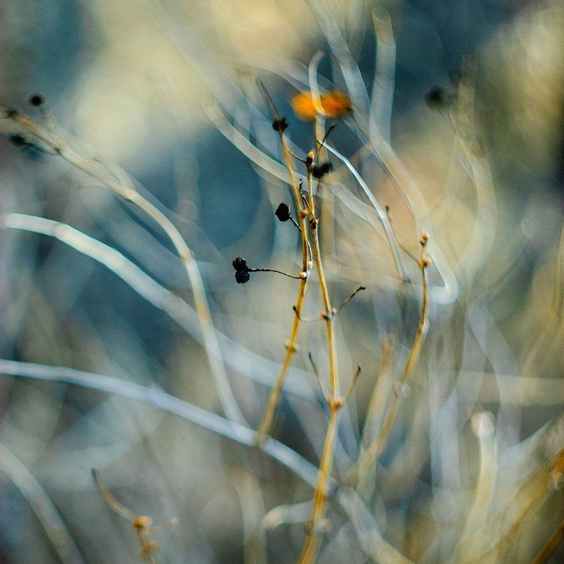 Нити-нити не тяните фото превью