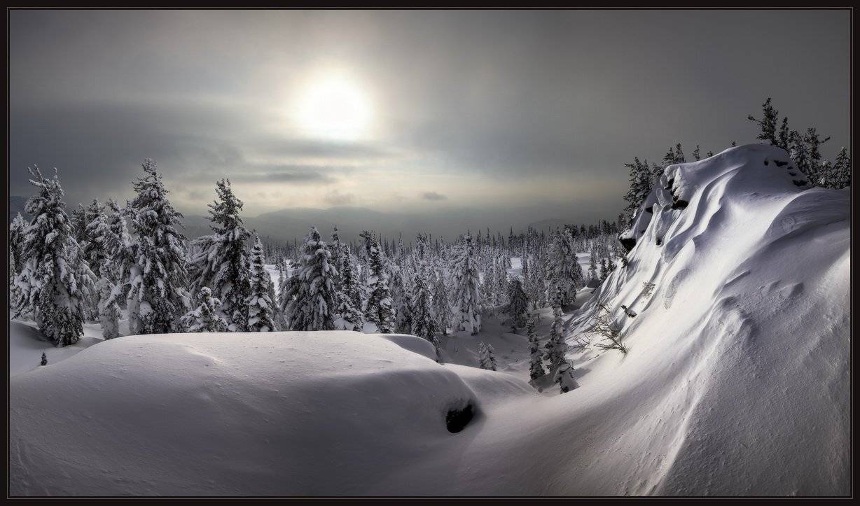 шория, шерегеш, верблюды, снег, елки, сугробы, свет, ярославский, виталий, Виталий из Н-ска