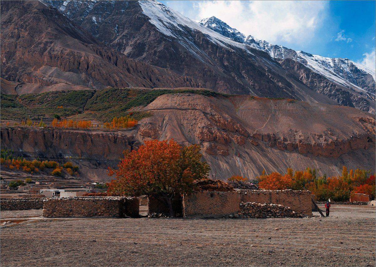 , Алексеевич