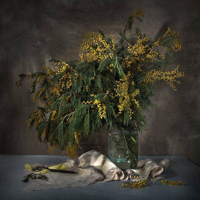 , Лев Сердюков