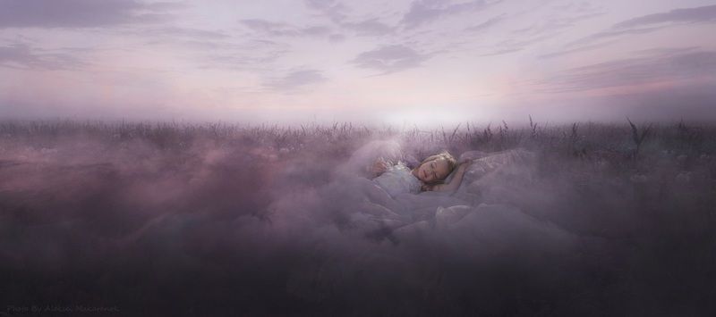 Вся наша маленькая жизнь...... фото превью