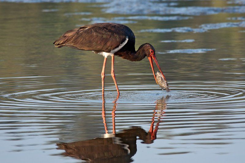 На рыбалке фото превью