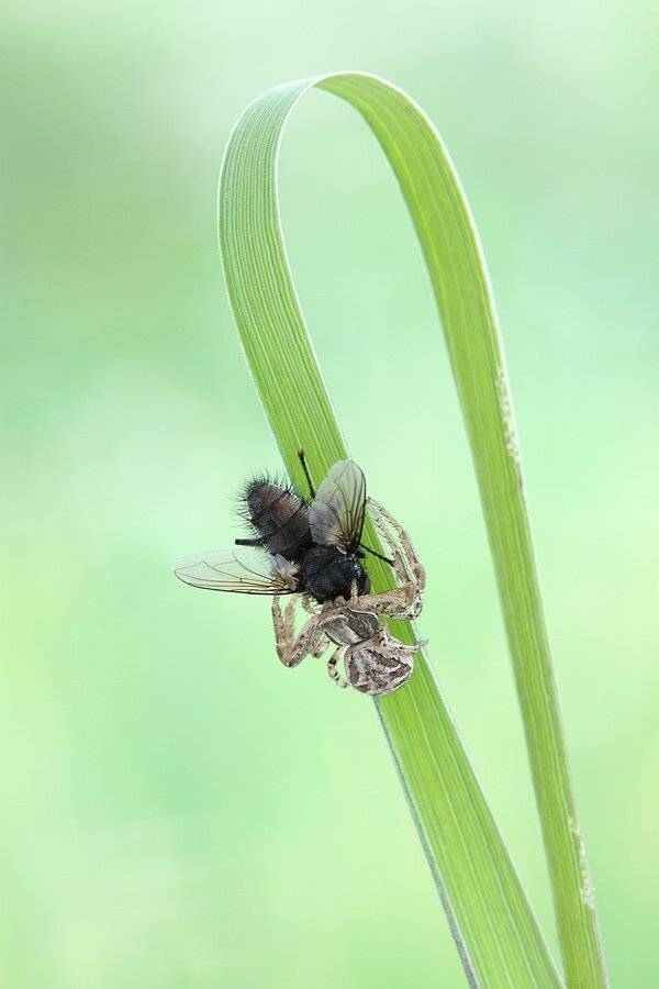 , Сергей Таланов