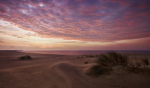 Завтра была осень