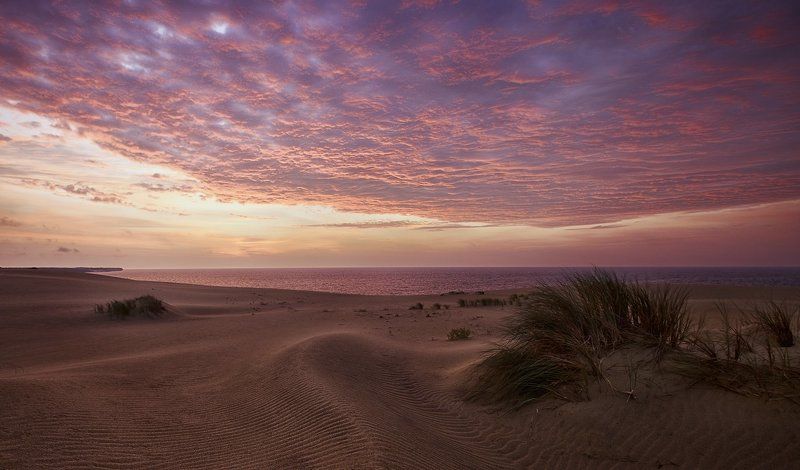 mc, baltic, sea Завтра была осень фото превью