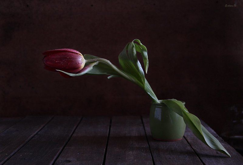 Одиночество фото превью