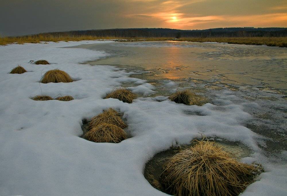 , Николай Морский