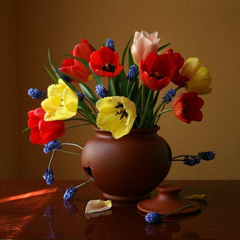 Тюльпаны. фото превью