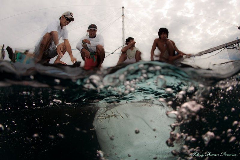 фото превью