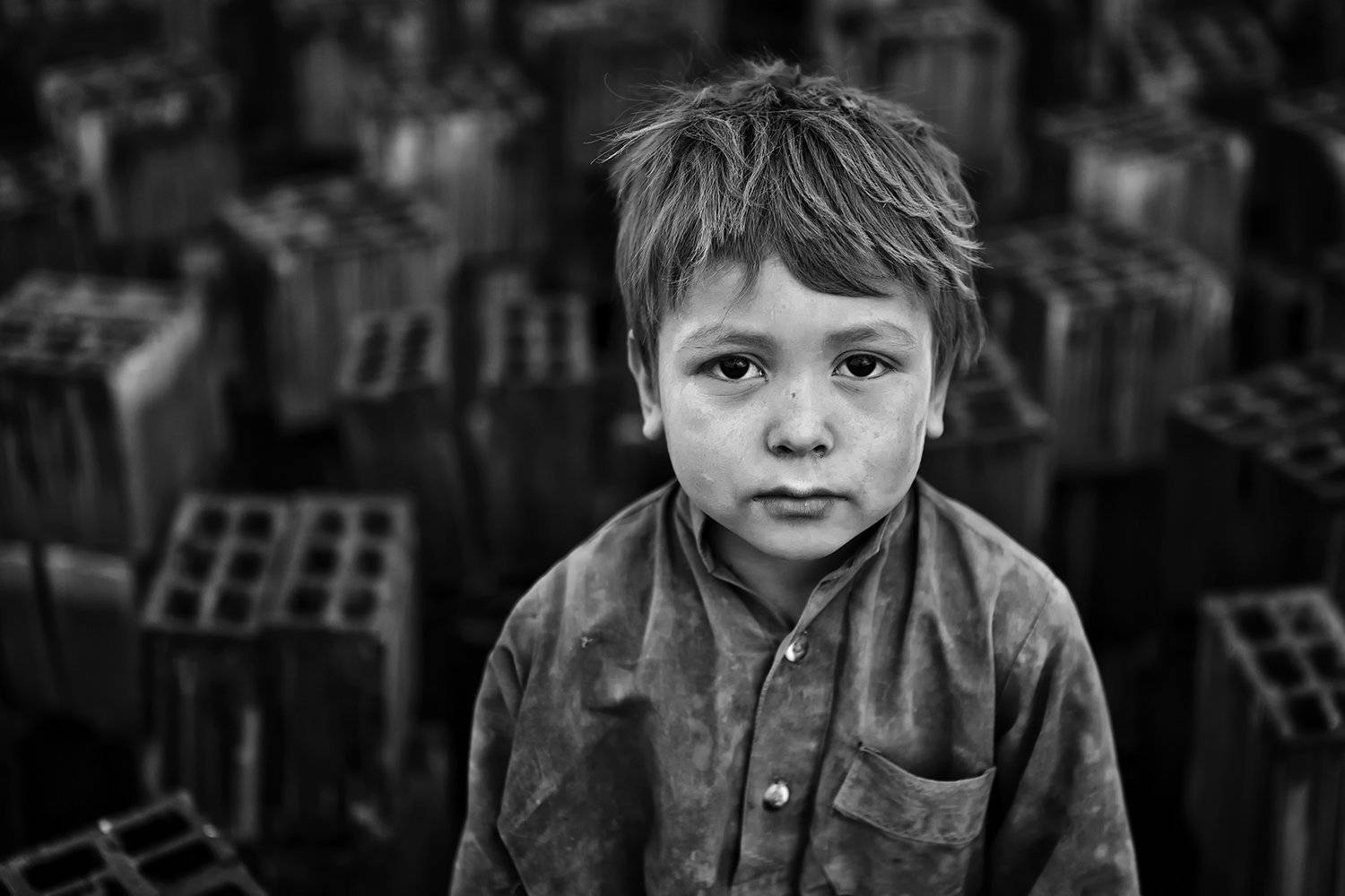 , Mohammadreza Momeni