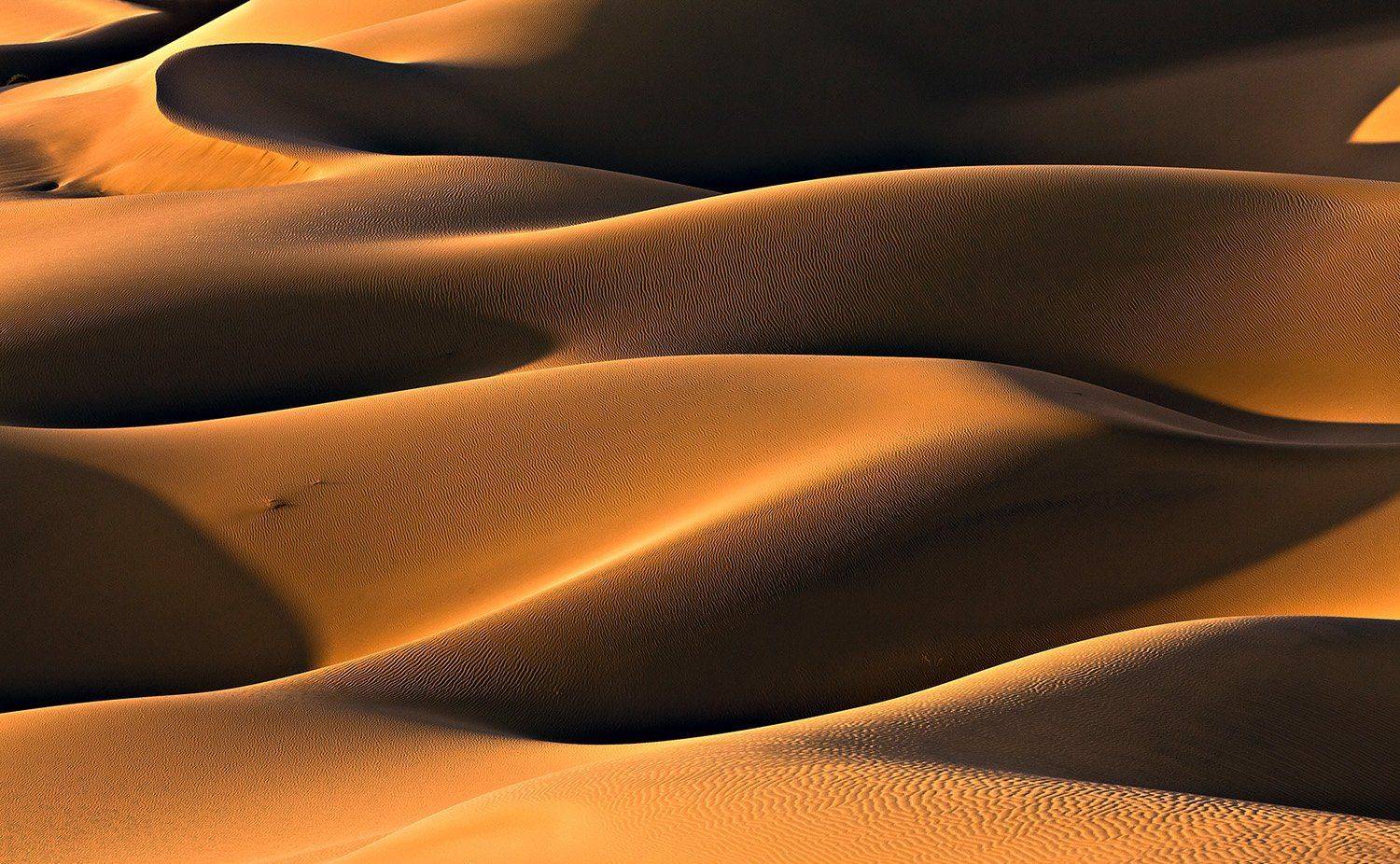 , Mohammadreza Momeni