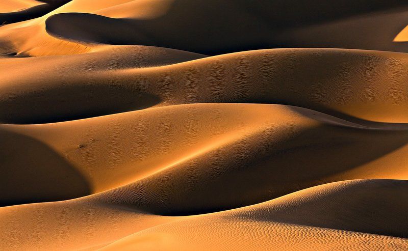 Golden light фото превью