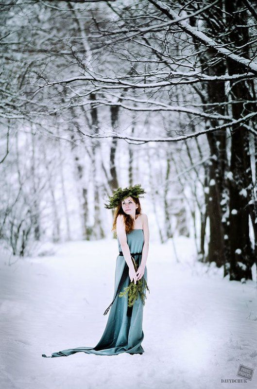 Аромат хвои фото превью