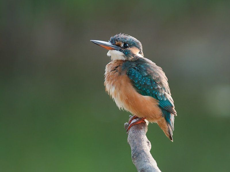 На закате дня фото превью