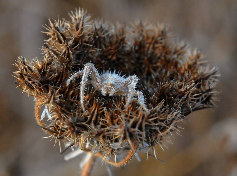 , Игорь ФУММ