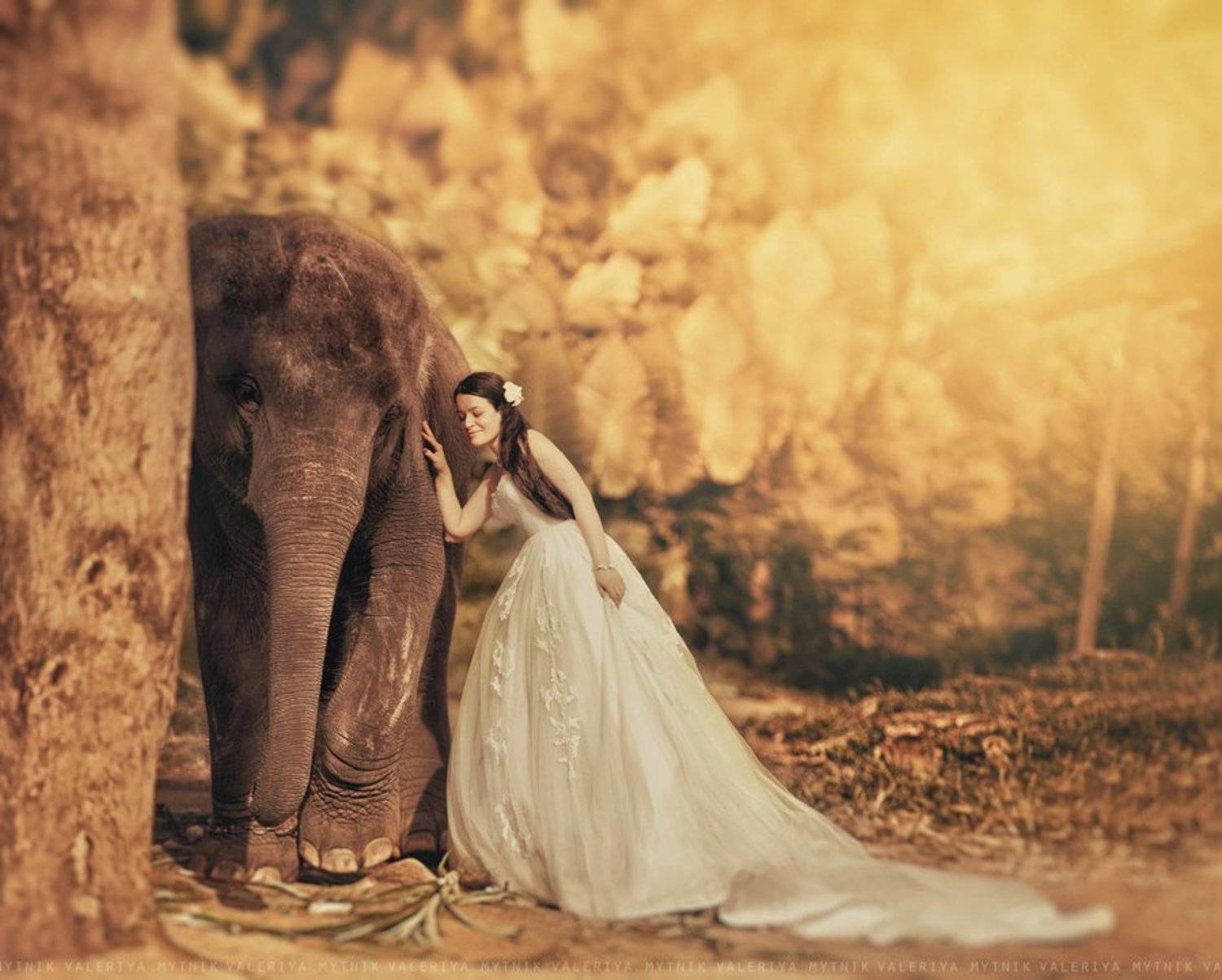 , Мытник Валерия