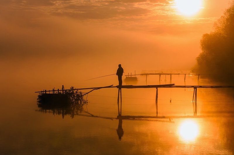 Золотое туманное утро фото превью
