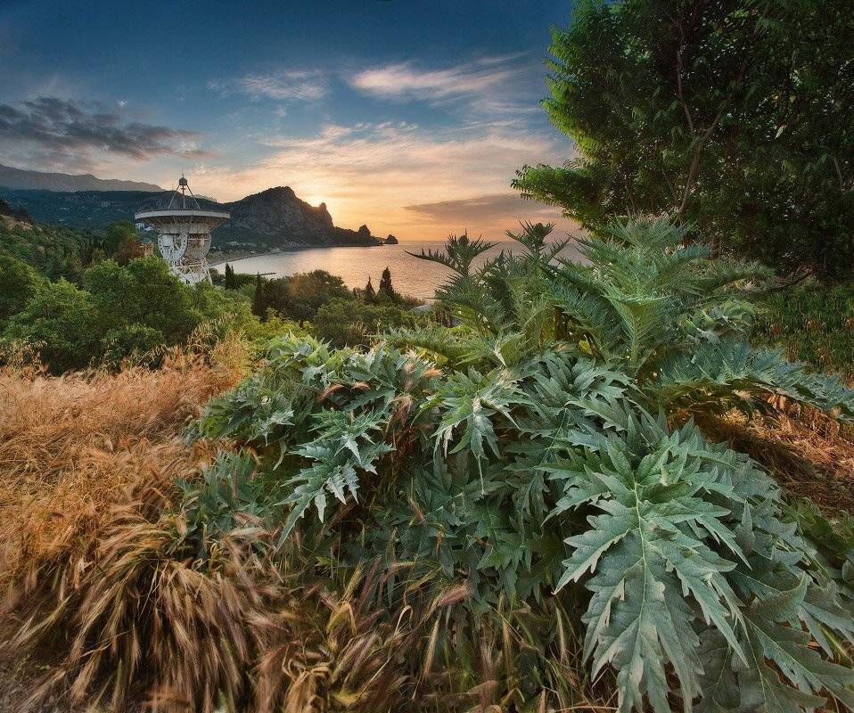 горы, крым, май, море, рассвет, утро, Вейзе Максим