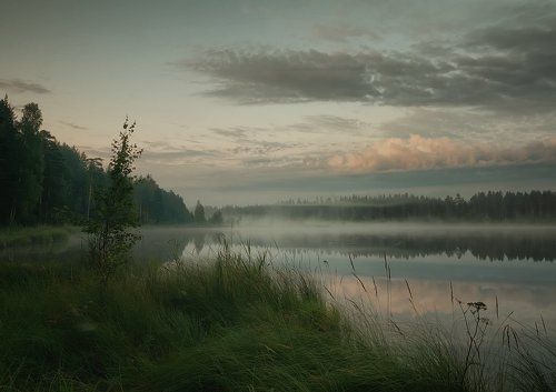 Утреннее