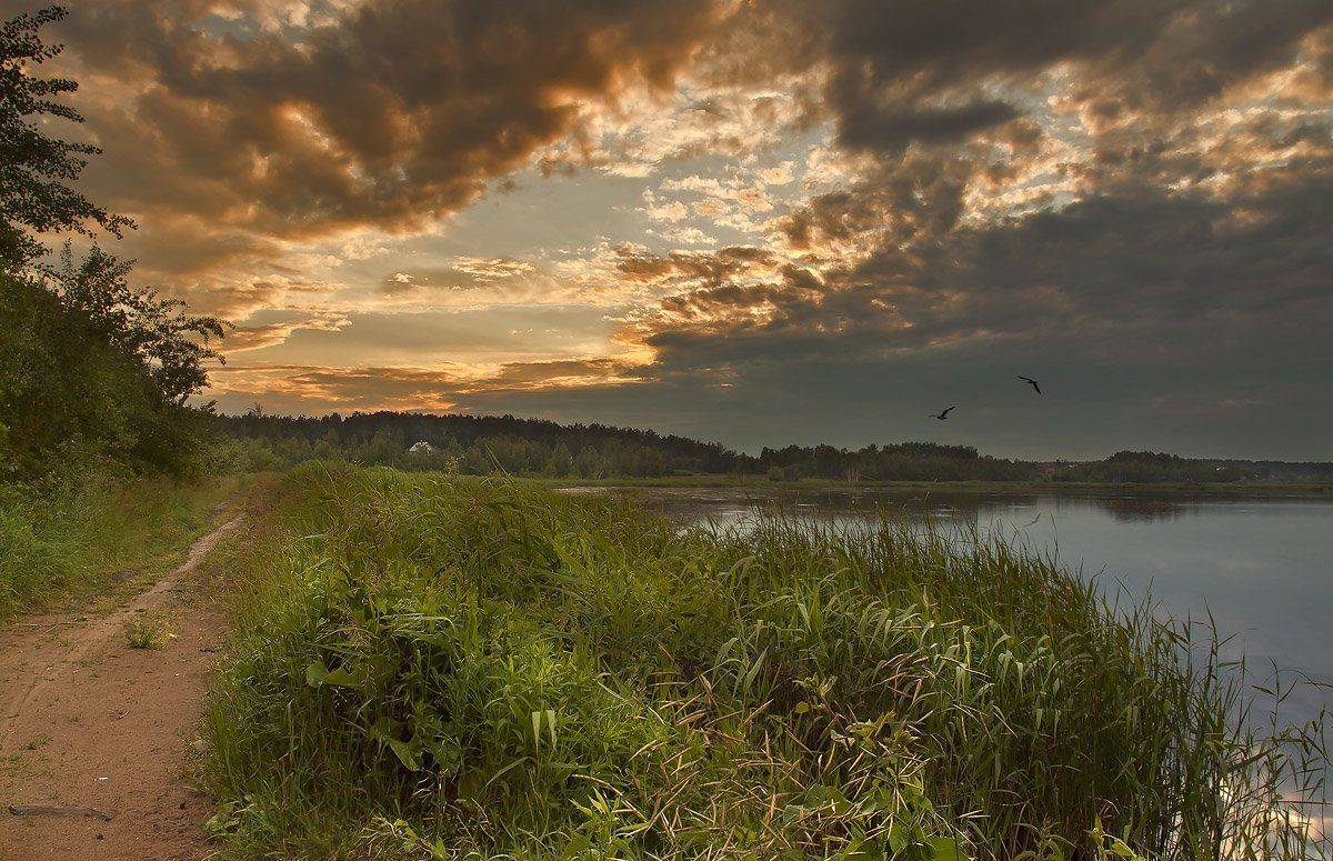 озеро, купавна, Андрей Леонидович