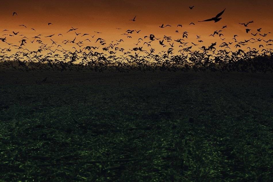 , Сидоренко Алексей