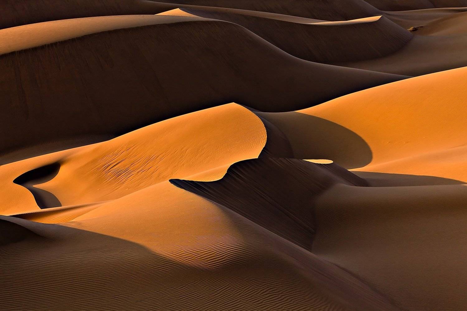 , Mohammadreza Momeni