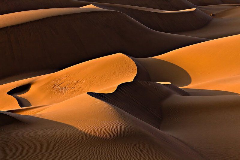 Morning light фото превью