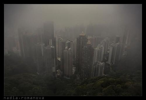 fog