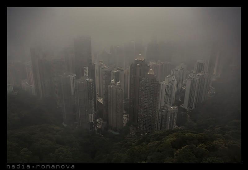 fog, hongkong, city, urban fog фото превью