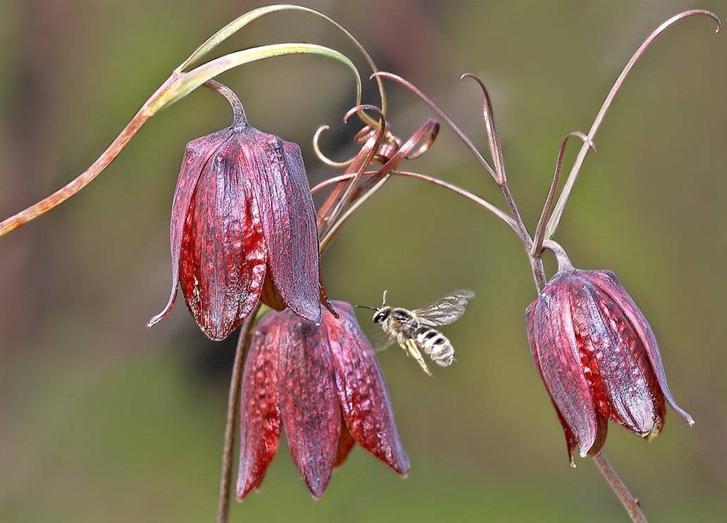 , Евгений Комаров