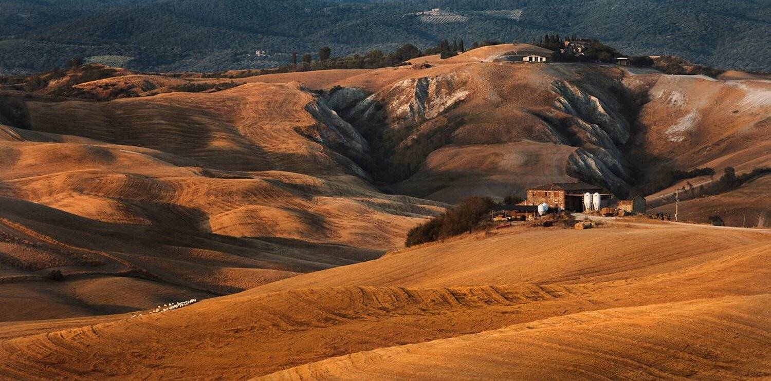 , Dariusz Łyżbicki