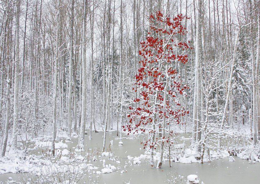 , Валерий Кондратов