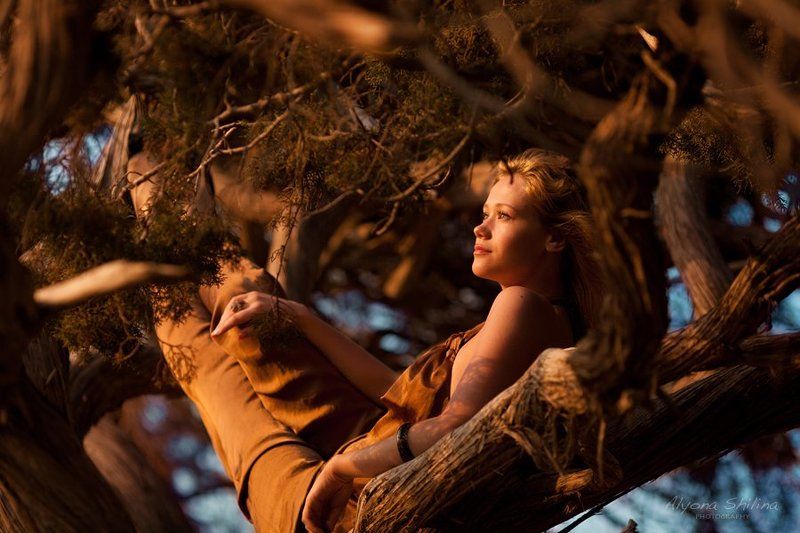 Mimicry фото превью