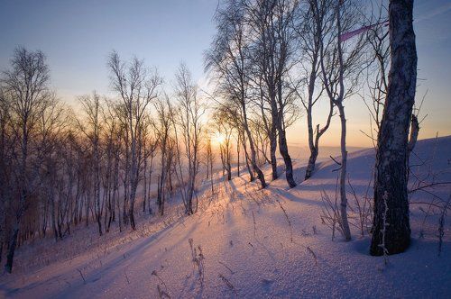 Свет солнца золотого