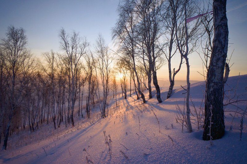 снег, мороз, солнце, зима Свет солнца золотого фото превью