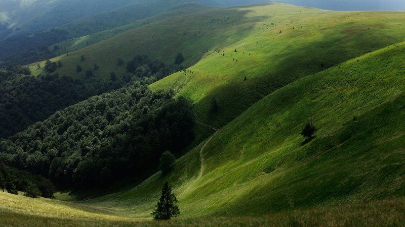 Ах, лето.. фото превью