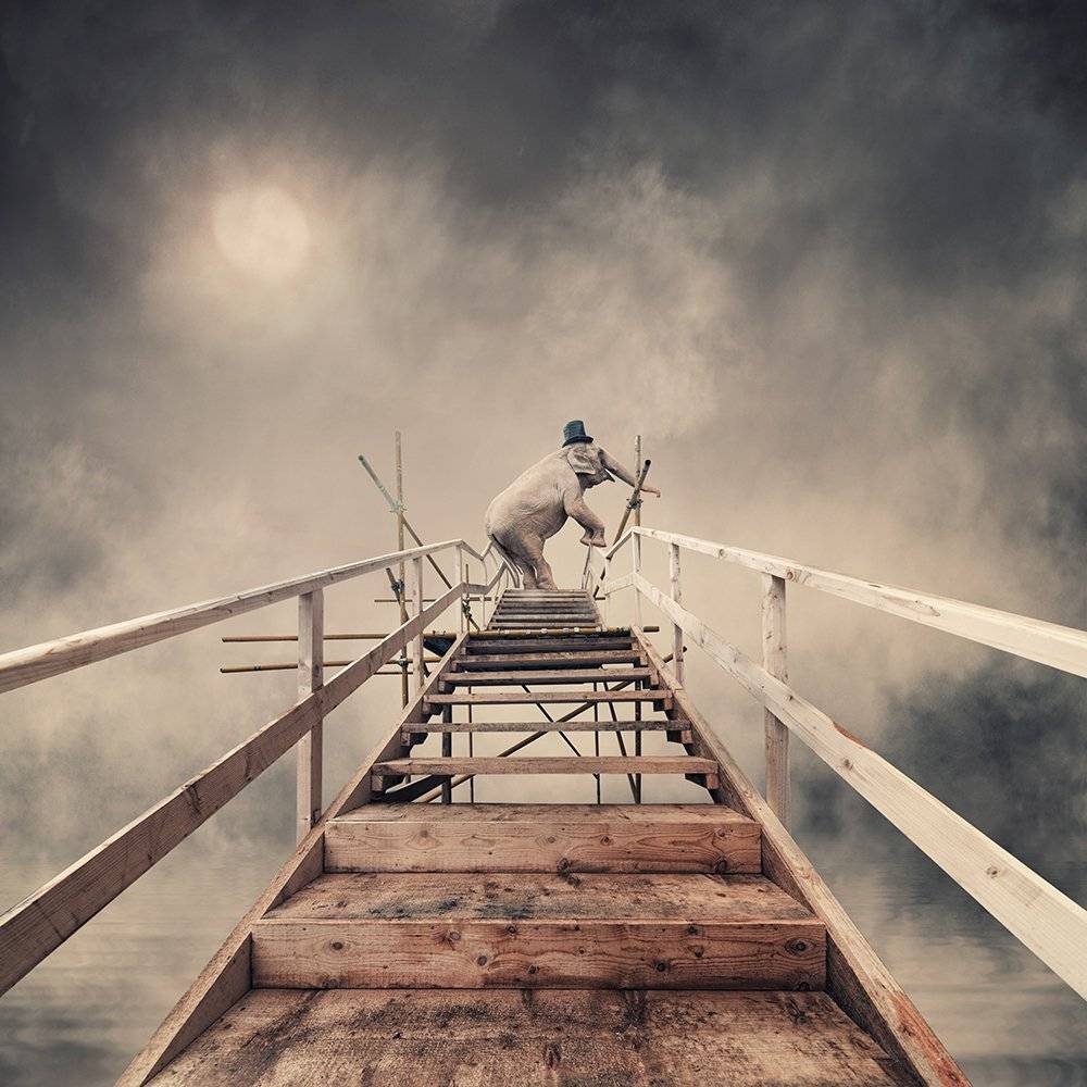 sky, reflection, light, clouds, ground, manipulation, elephant, mounting, wheel, corn, psd, spinner, tutorials, stage, happy, heat, head, Caras Ionut