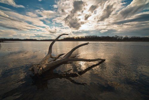 Ветер, ветер ты могуч