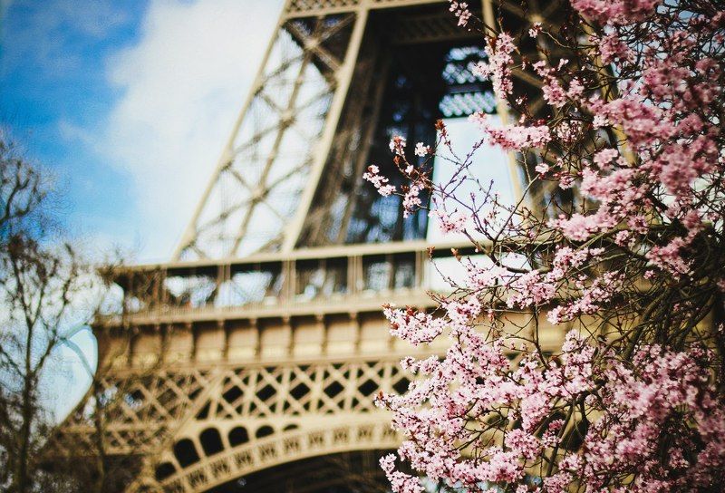 Франция фото превью