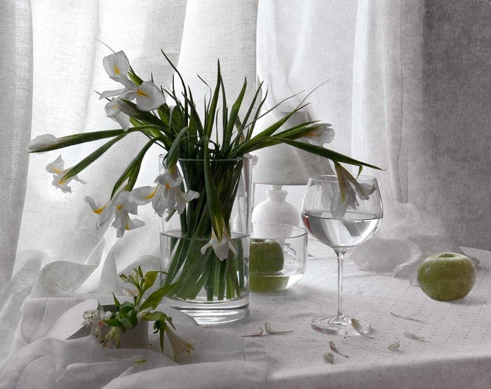 , Гелена Гленкова